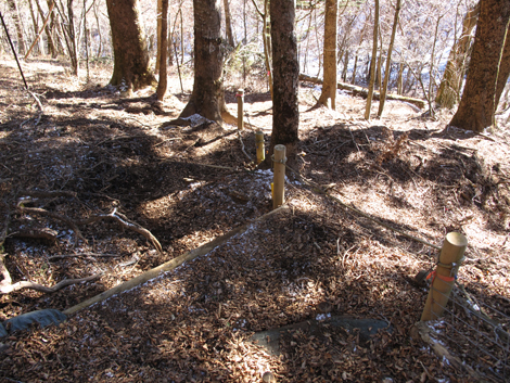 20181214hike (241)